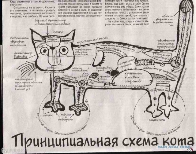 "Гладильные" места