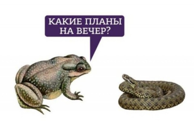 Почему мужчина в 40 лет не женат и без детей?