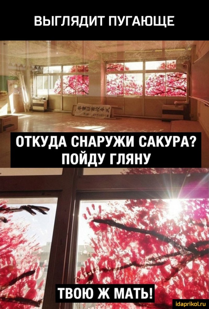 Всякая всячина #13