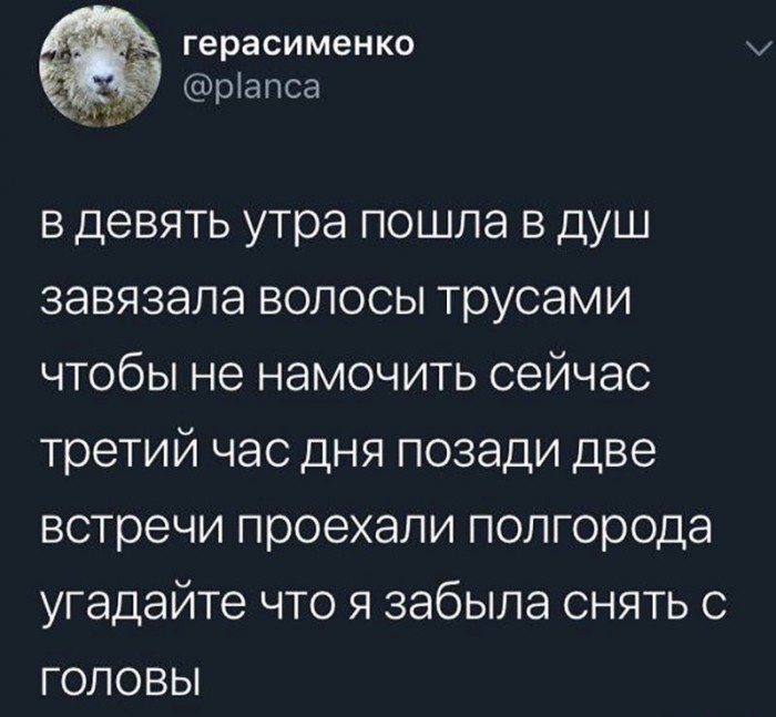 Анекдоты, истории и картинки с надписями