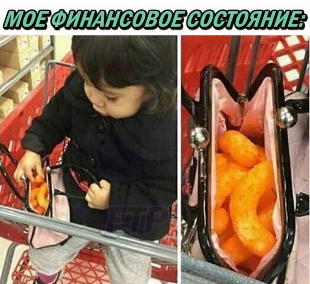 Делаем уроки, бутерброды, охотничью собаку и присоединяем Австрию к России