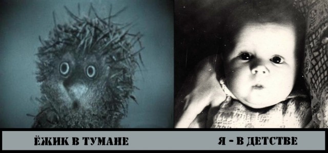 "Обсуждение всего ..что связано с прогнозами"