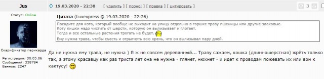 Мышки... ой, т.е. котики плакали, кололись, но продолжали жрать кактус!