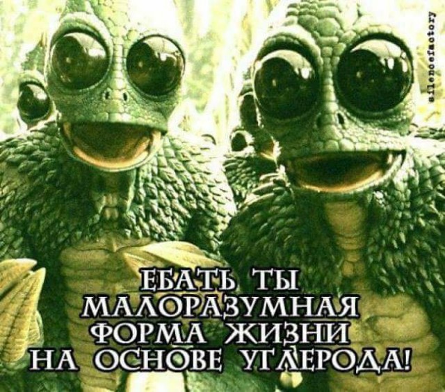 Покупка и использование электро-велосипеда