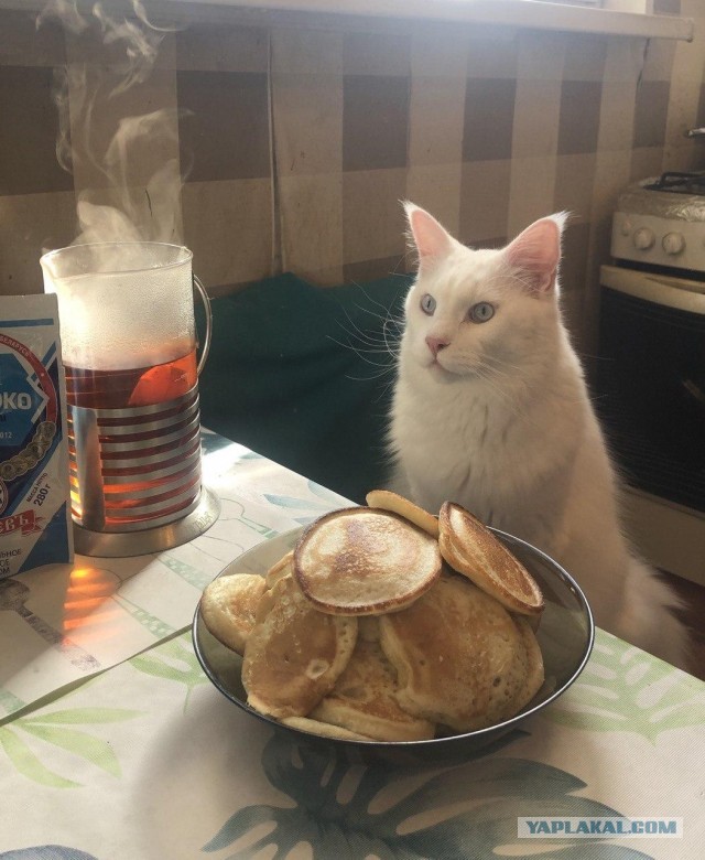 Как страшно жить