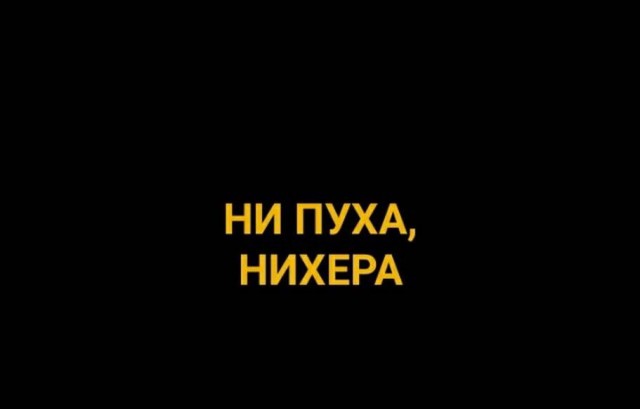 Фотки и картинки: юморные и красивые, забавные и милые 05.10.20