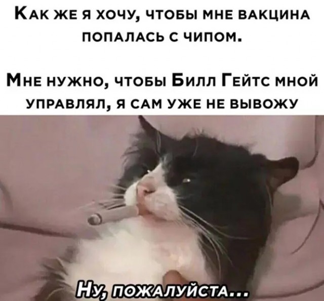 Картинки всякие 30.11.2020