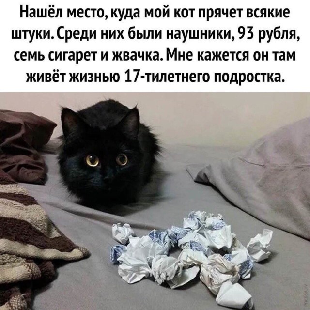 Картинки и мемы для настроения 015