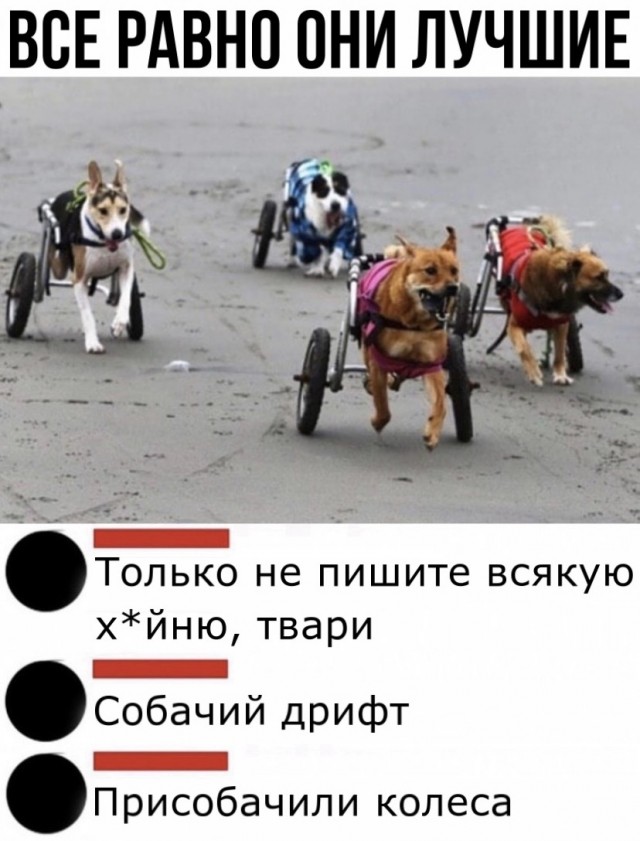 Делай как я!..