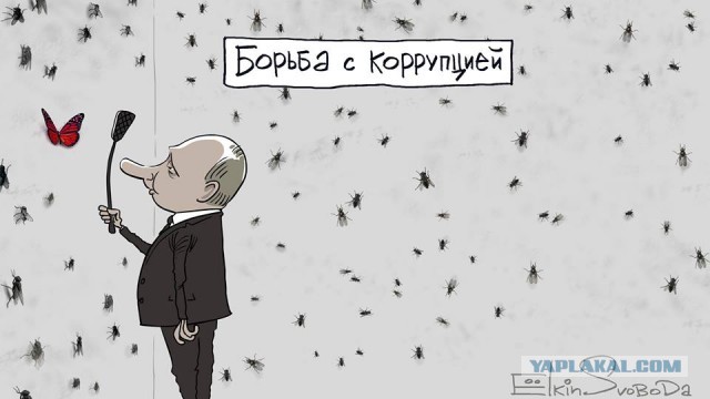 "Отрицать бесполезно". Биограф Путина подтвердил: дворец в Геленджике — подарок президенту от олигархов