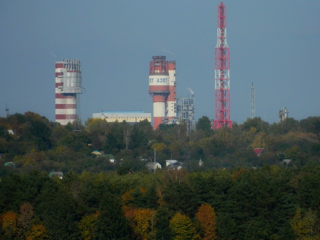 Бредзона 28.01.2021