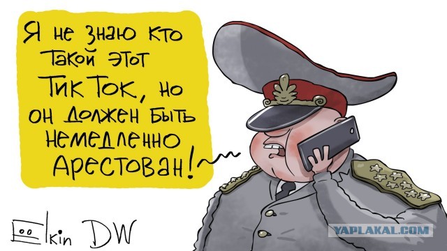 Кто в лес, кто по дрова… Как нас в очередной раз обвели вокруг пальца