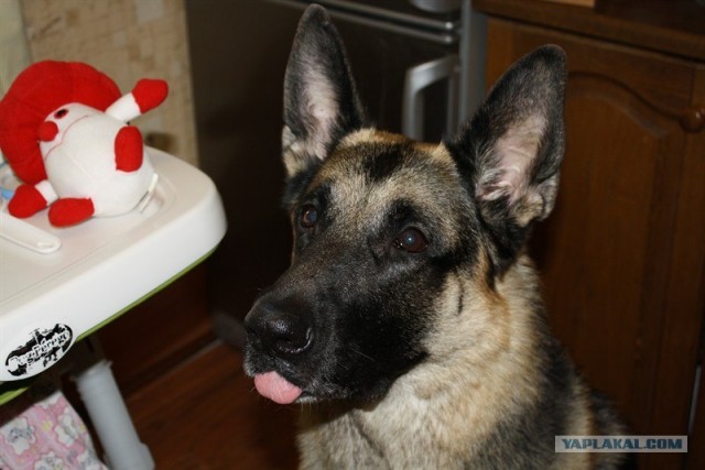 Перемена настроения