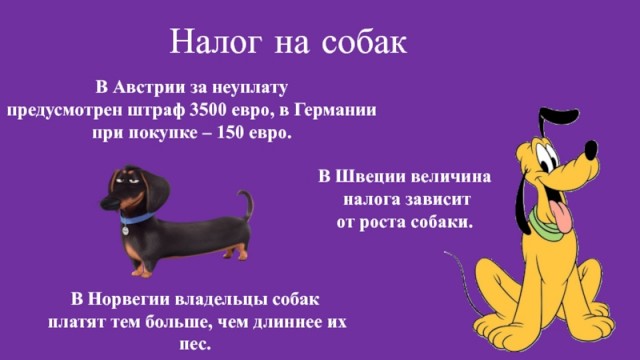 Налоги, налоги, налоги