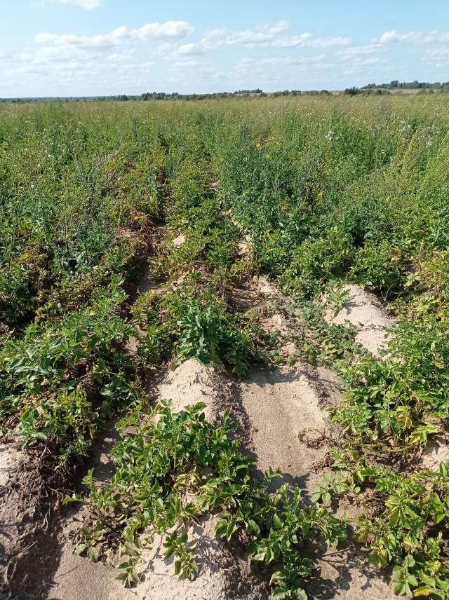 Вымирающие деревни Тверской области