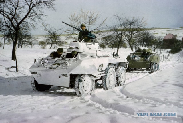 Короли перевоплощения: 16 шедевров военной маскировки