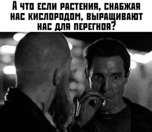 Так себе картинки 11.09.21
