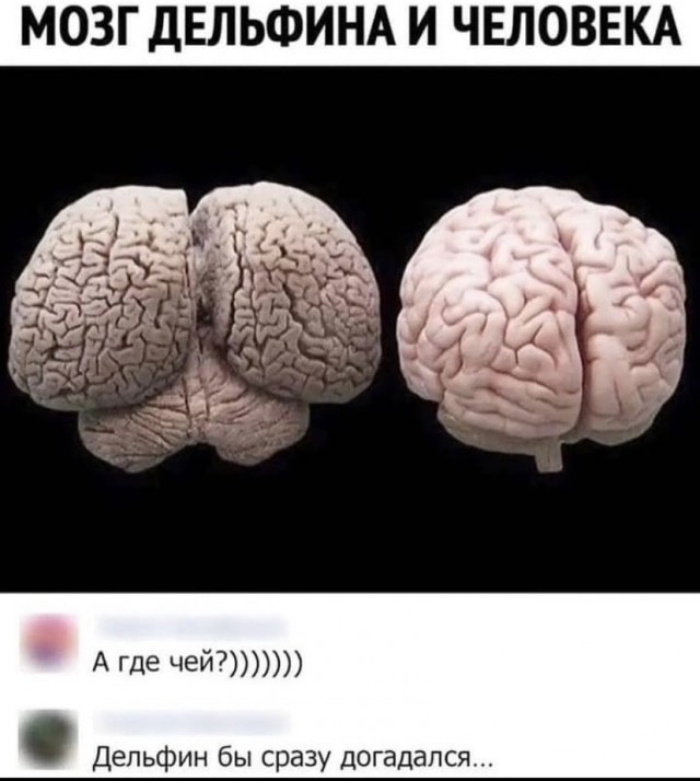 Делайте выводы