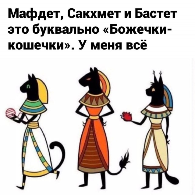 Весёлый полтишок 23.11