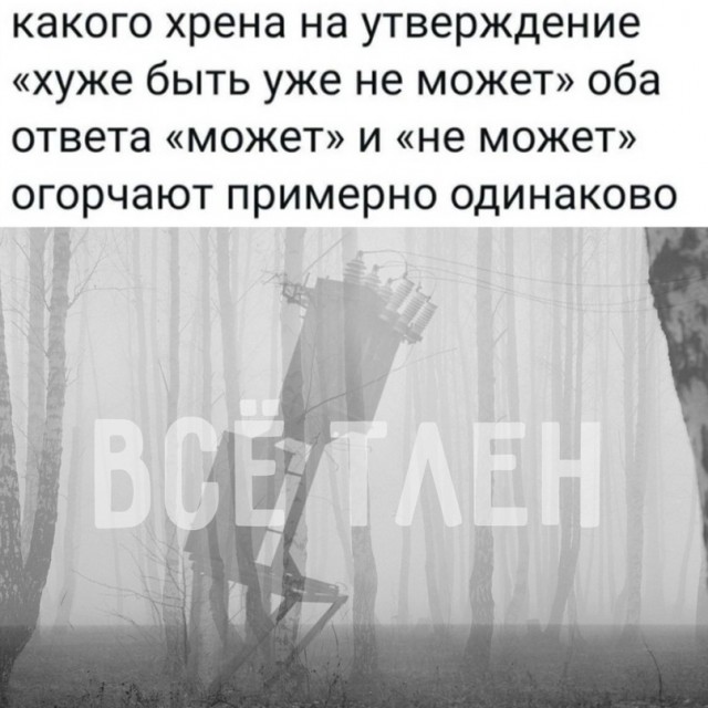 Весёлый полтишок 26.11
