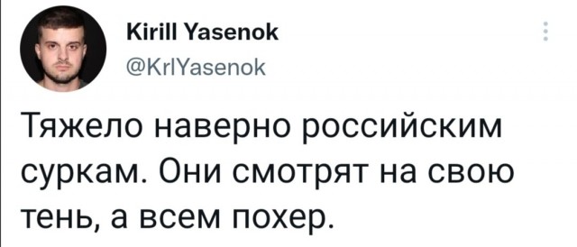 Забавные комментарии из социальных сетей (14.02.22)