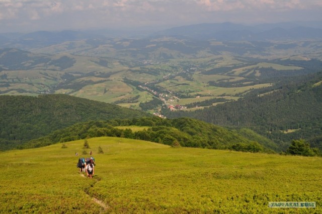 Карпаты 2011