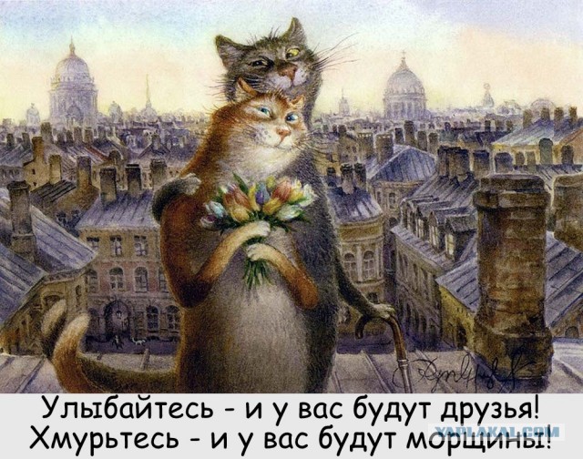 Жизнь домашнего приюта для котеек 396