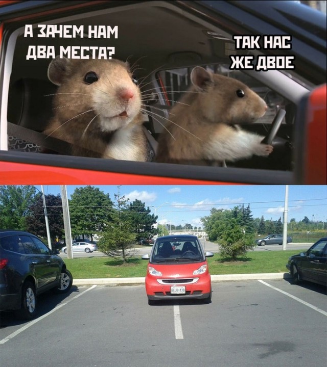 Весёлый полтишок 27.06.22