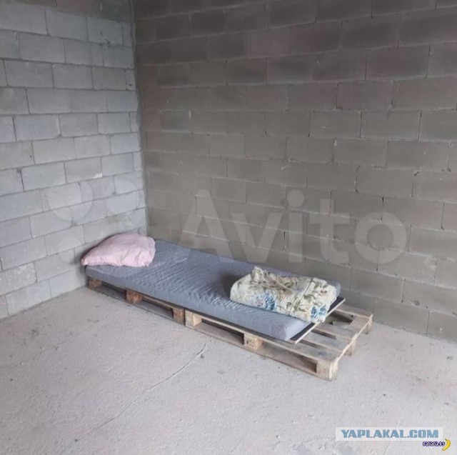 Лучше конуры для айтишников уже не будет