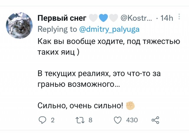 Петербургские депутаты предложили Госдуме обвинить Путина в госизмене
