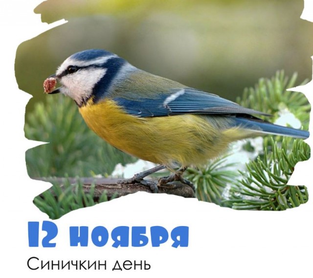 Победная поступь идиотизма по планете.
