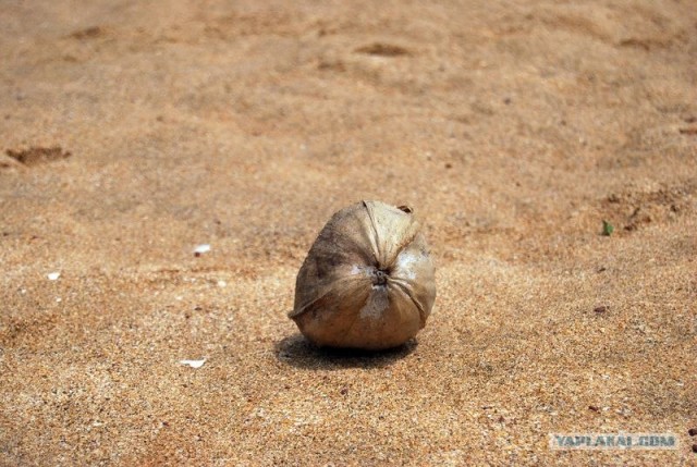 ГоА свои впечатления