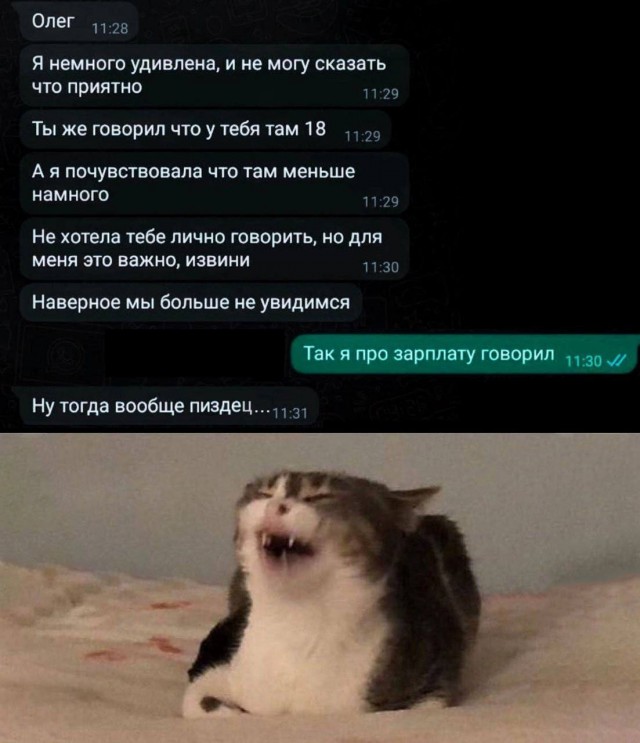 Картинки и мемы, всем хороших выходных