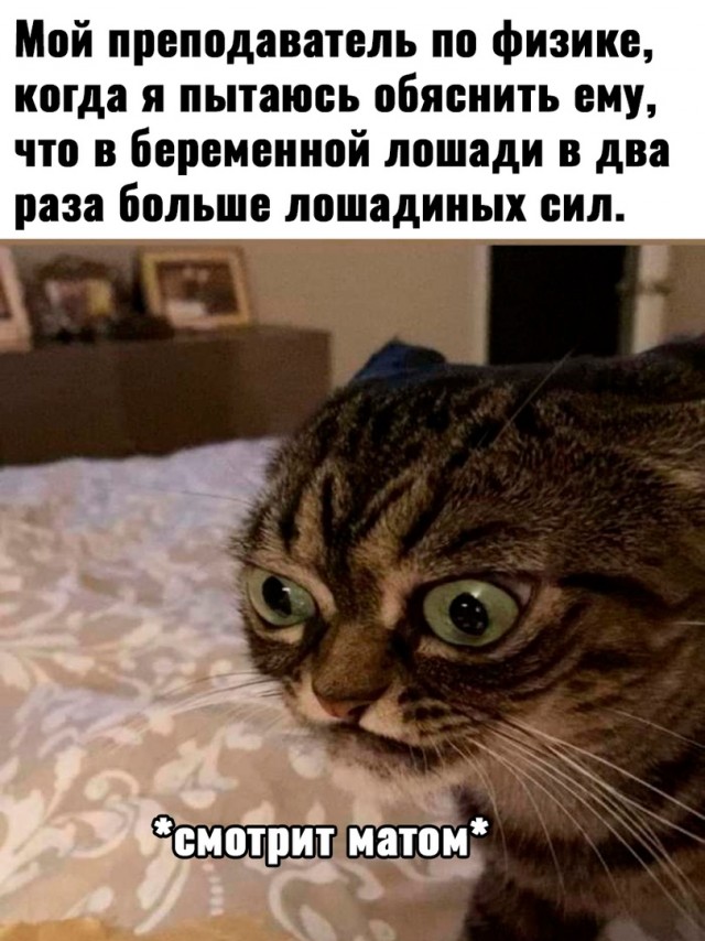 Так себе картинки 18.02.23