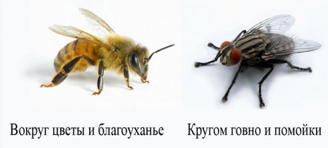 Правильная позиция
