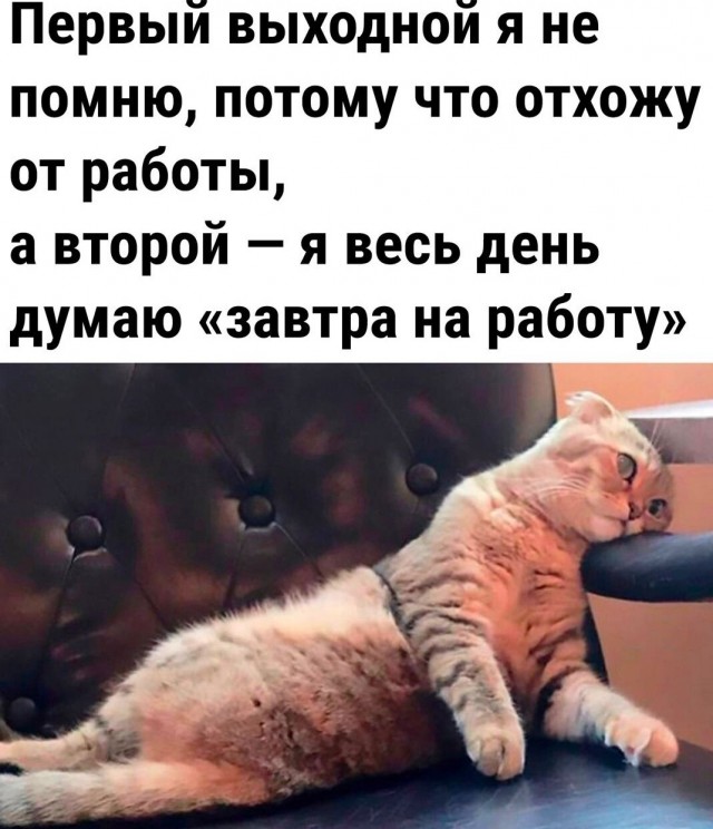 Картинки и мемы, всяко разно - 171