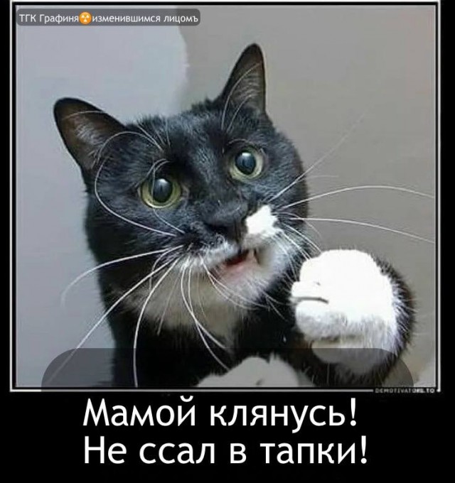 Победная поступь идиотизма по планете – том 13