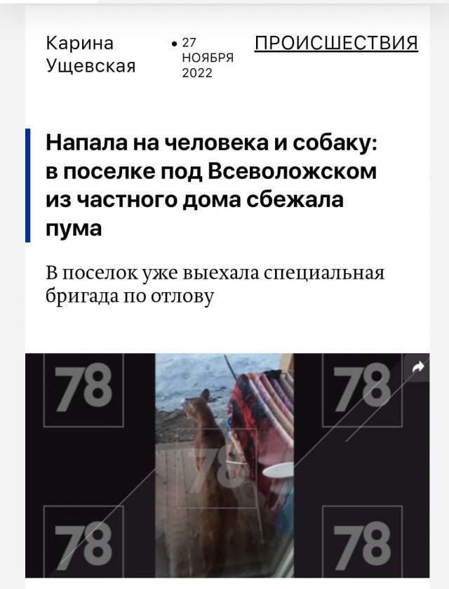 Стафорд покусал до смерти своего хозяина