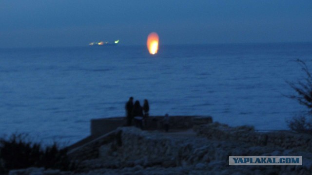 Крым в феврале или "Не стреляйте в белых лебедей!"
