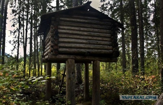 С легким кошмаром! Самые жуткие и отвратительные банные обычаи Руси