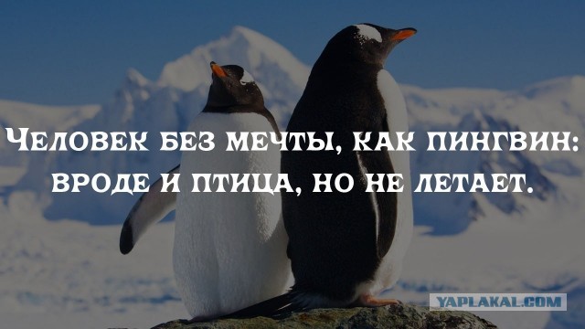 Вопрос к женщинам. Профессия мужа важна для жён? Или важнее его доходы?