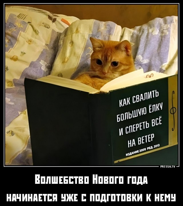 Веселуха