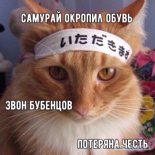 Басё и Кисё