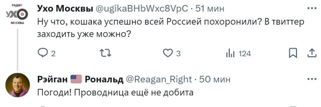 Кот Твикс. Служебная проверка и показания проводницы