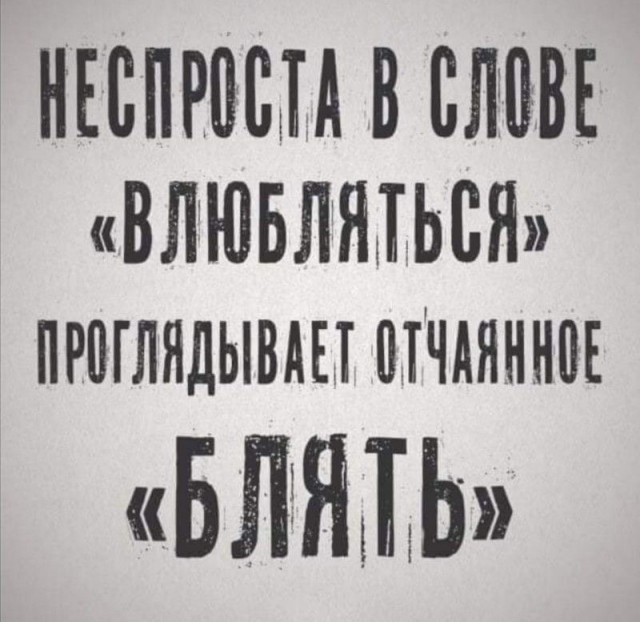Прикольные и просто красивые картинки 05.07.2024