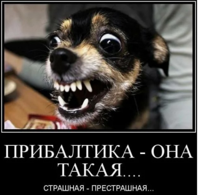 Эстония готова защищать Украину