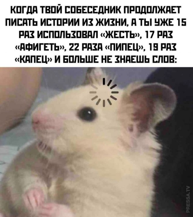 Веселые картинки в пятницу (14.02)