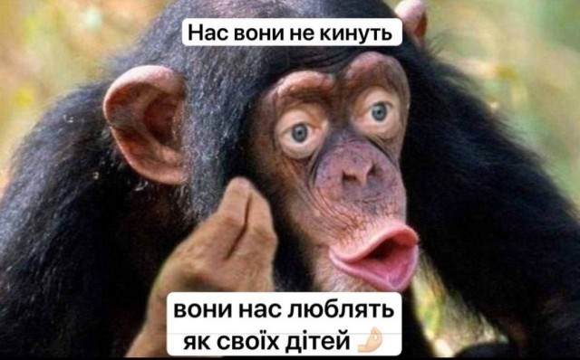 WP: США потребовали от Украины отозвать резолюцию ГА ООН с осуждением РФ