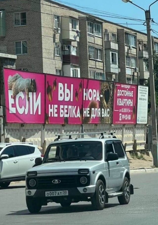 Забавные картинки, шутки из этих ваших интернетов