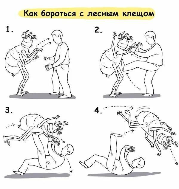 В Москве проснулись клещи, — Департамент природопользования